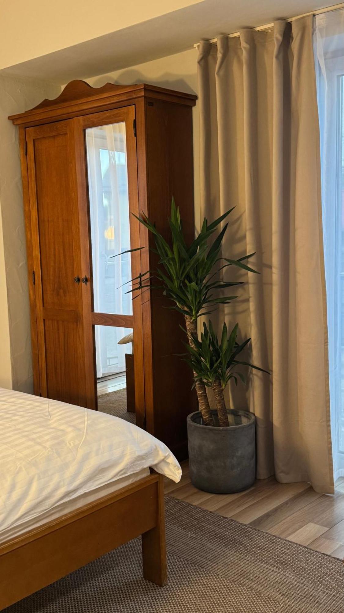 Hotel Lucy Star 2*